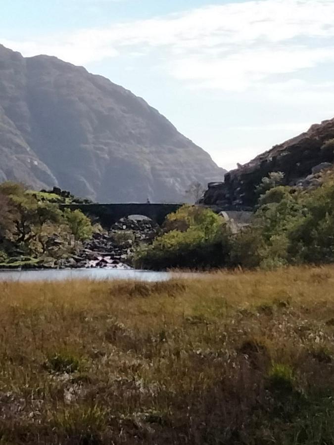 Larkfield House B&B, Ballycasheen Kerry V93 Wd51 Killarney Luaran gambar