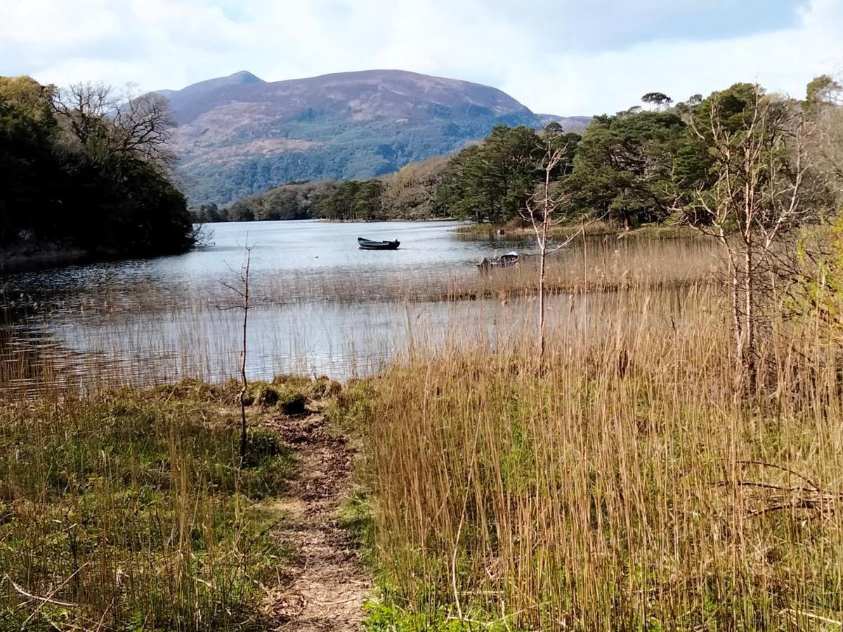 Larkfield House B&B, Ballycasheen Kerry V93 Wd51 Killarney Luaran gambar