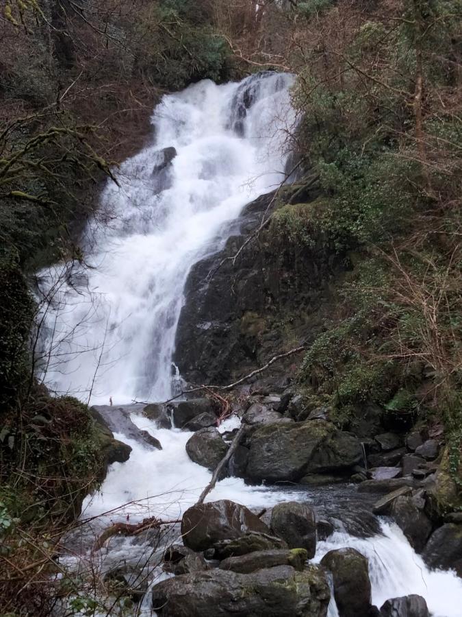 Larkfield House B&B, Ballycasheen Kerry V93 Wd51 Killarney Luaran gambar