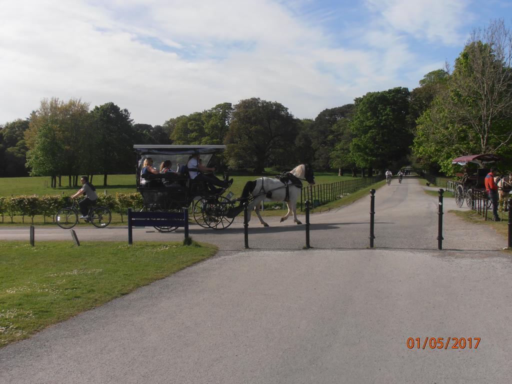 Larkfield House B&B, Ballycasheen Kerry V93 Wd51 Killarney Luaran gambar