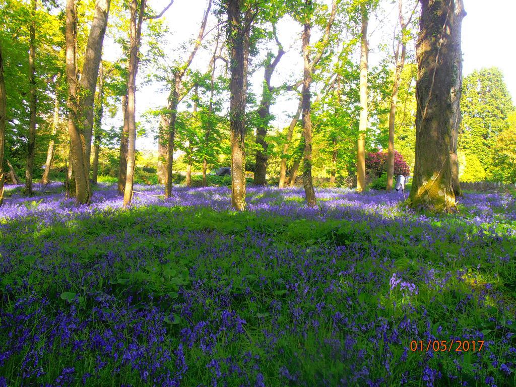 Larkfield House B&B, Ballycasheen Kerry V93 Wd51 Killarney Luaran gambar