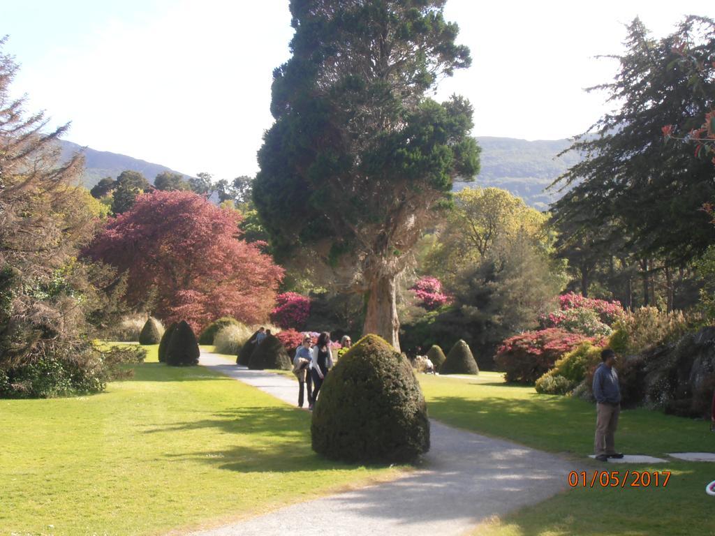 Larkfield House B&B, Ballycasheen Kerry V93 Wd51 Killarney Luaran gambar
